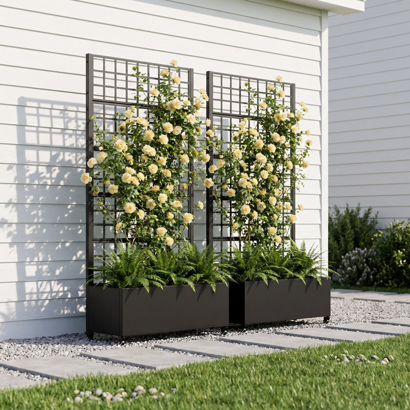 185 H x 270 W, 185cm H x 180cm W x 40cm D