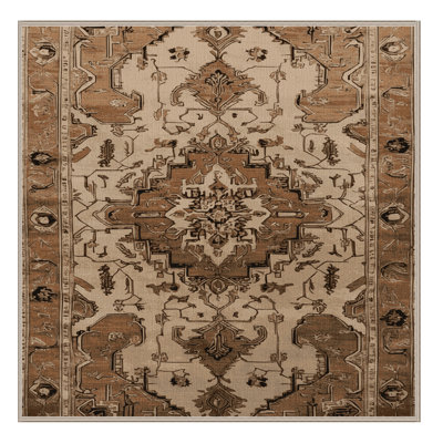 Machine Washable Persian Brown Area Rug