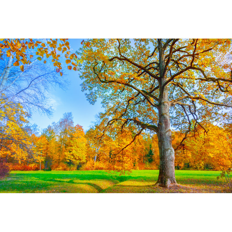 Paysage d'automne - reproduction sur toile tendue, H 8 po x l 12 po x P 1 po