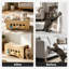 Grattoir pour chat avec boules interactives