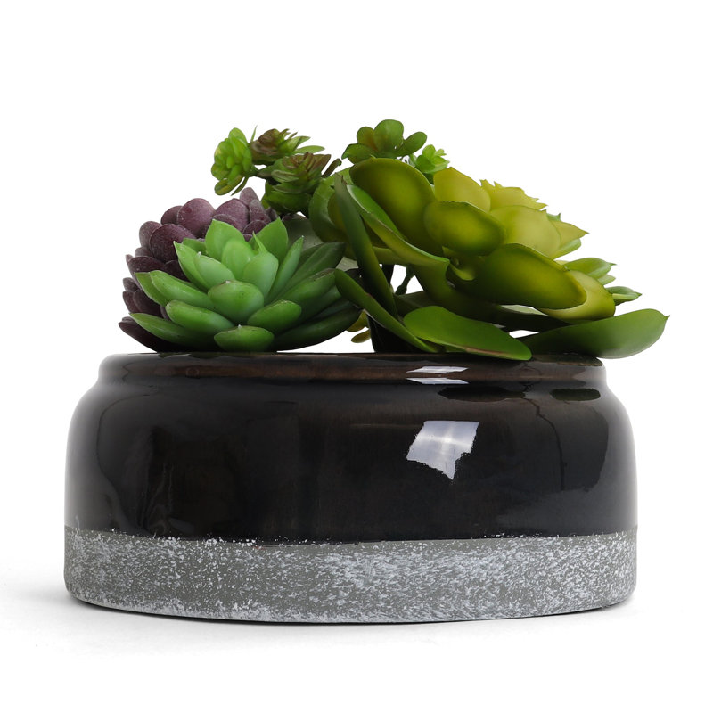 Plante grasse artificielle 7 po en pot