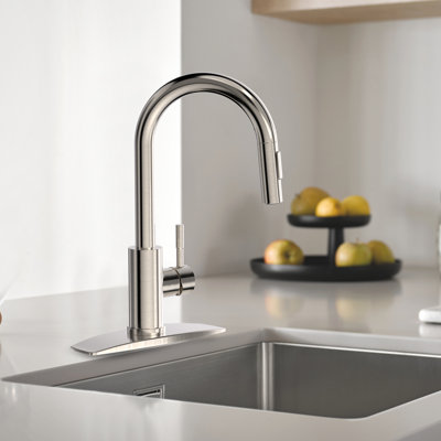 Pull Down Single Handle Kitchen Faucet With Deck Plate, Handles and Supply Lines