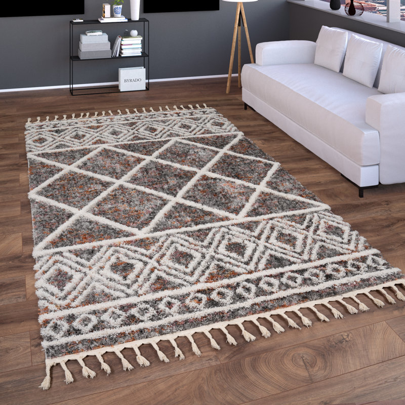 Degraffenreid Geometric Area Rug, Rectangle 240 x 340cm