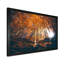 «Mystic Morning Scene In Autumn Forest», reproduction sur toile-1333602296-1333602297