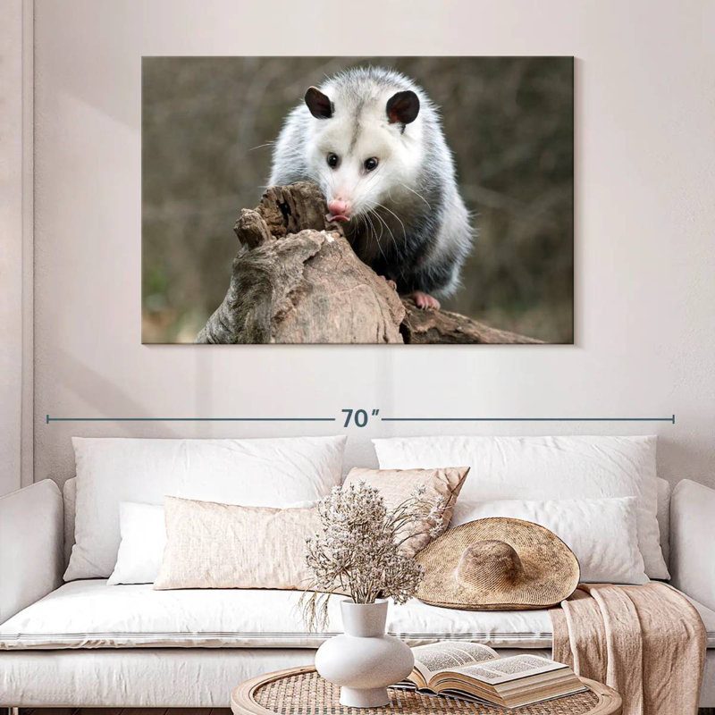 Bramble opossum, H 32 po x l 48 po