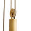 Norfolk 1 - Light Pendant