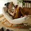 Chaise berçante réglable avec base en bois massif