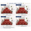 Burgundy Trendy Printed Bedspread Floral Design Quilted with Pillow Shams-113665275