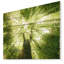 Sunlight Peeking Through Green Tree - impression d'art graphique-712535382-712535468