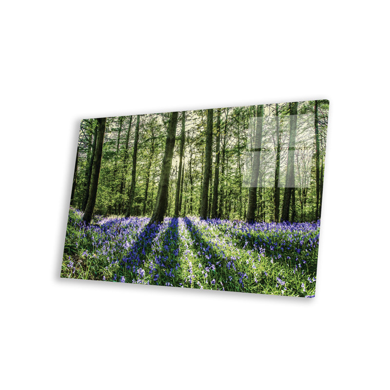 «Bluebell Wood», reproduction, 16" H x 24" W x 0.25" D, Unframed