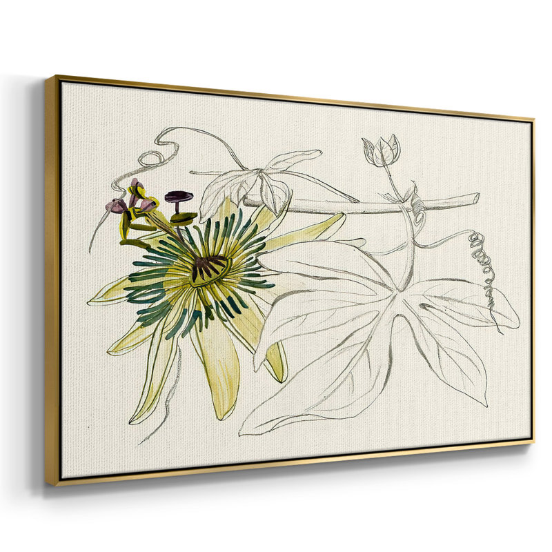 Passionflower I, reproduction d'art sur toile, H 17 po x l 25 po x P 2 po, Or