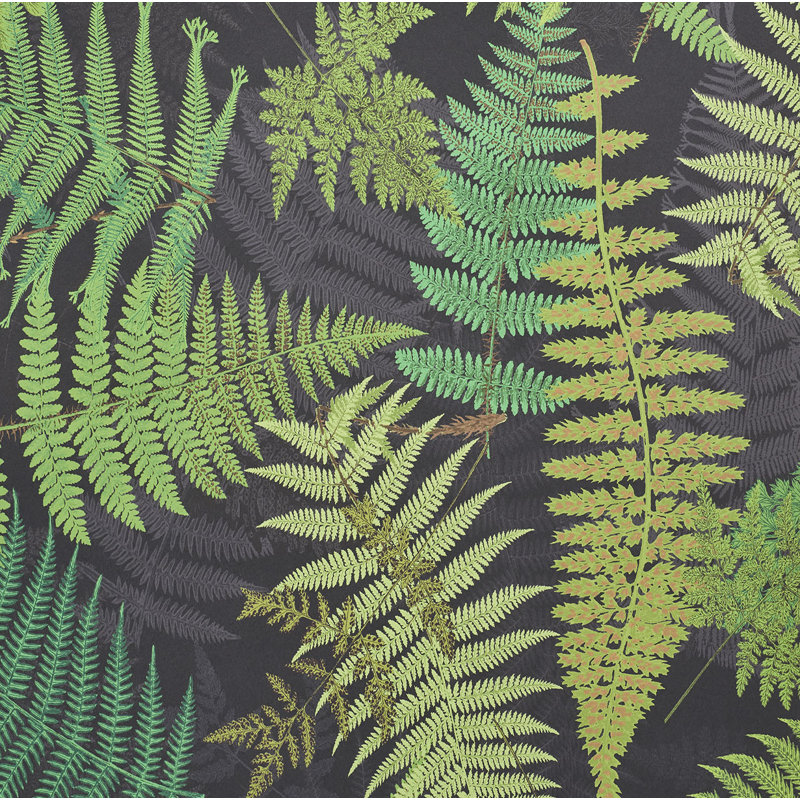 Papier peint Schumacher x Clements Ribeiro Fernarium, Noir / motif de feuilles