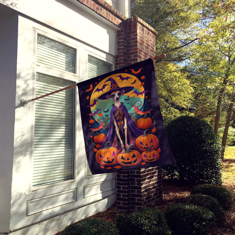 Drapeau de jardin d'Halloween en polyester Jamiria, 40 po x 28 po