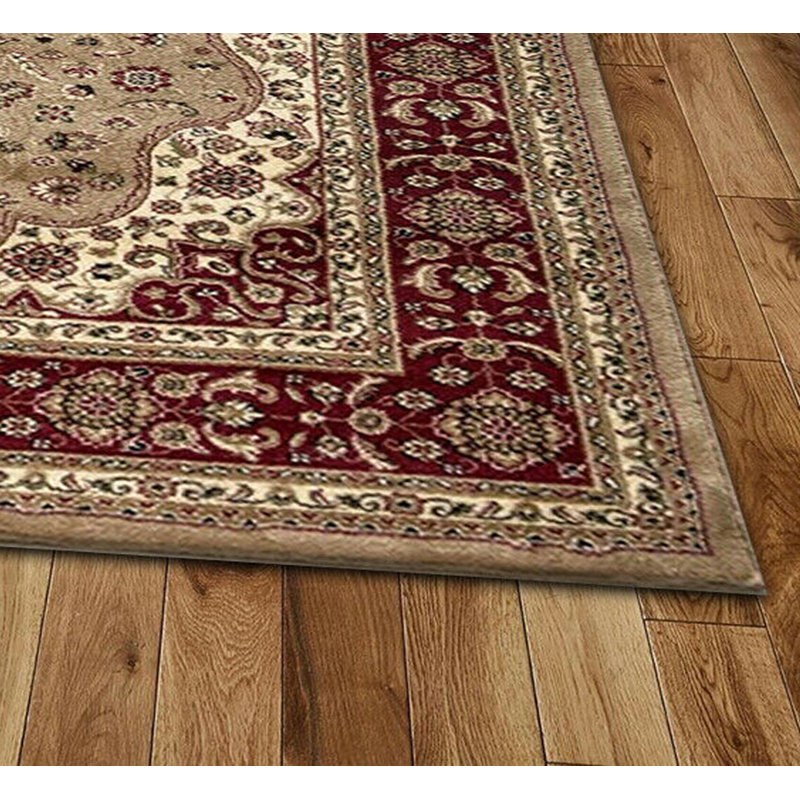 Aspynn Oriental Area Rug, Rectangle 160 x 230cm