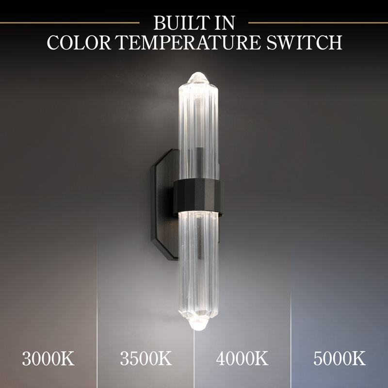 Plumeria 2 - Light LED Armed Sconce, Black