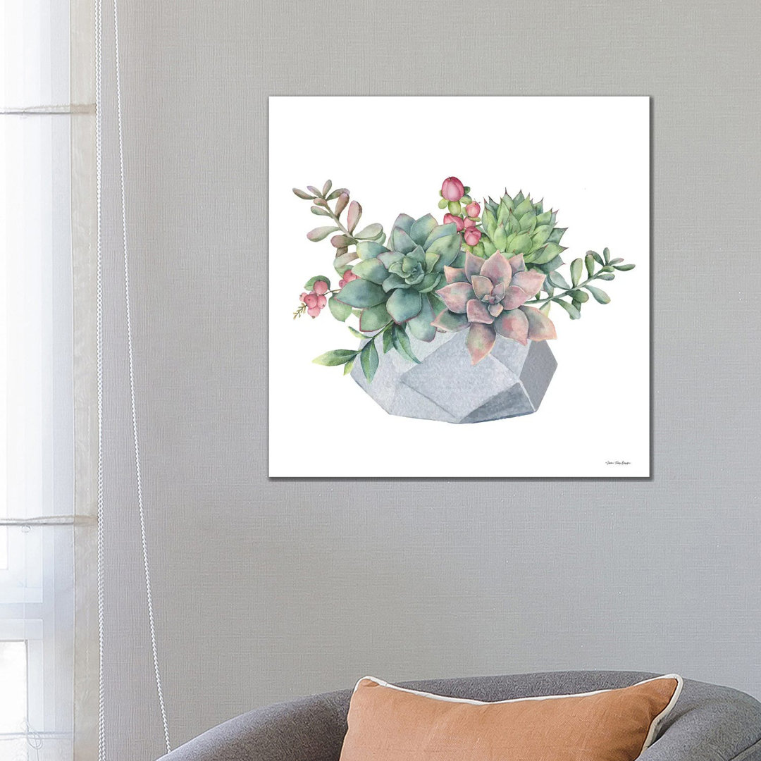 Aquarell Sukkulenten von Seven Trees Design - Galerie-verpackte Leinwand Giclée auf Leinwand