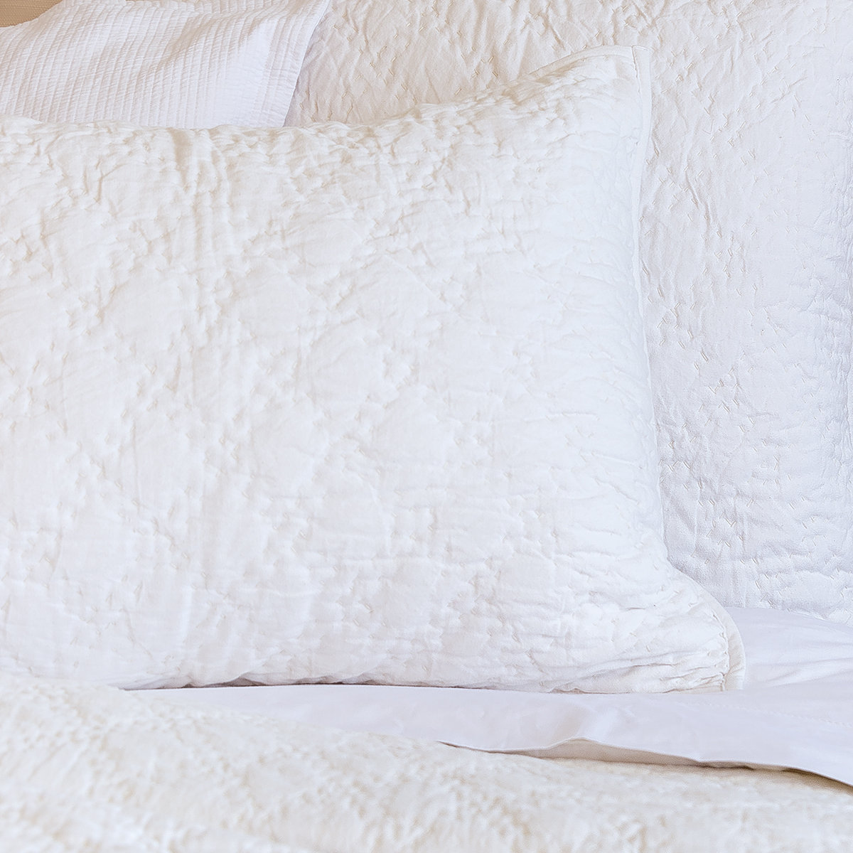 Gilmore Cotton Shams, Standard, Dove