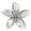2" Plumeria Flower Medium Knob-39948783-104672778-126755984