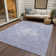 Alkea Abstract Indoor / Outdoor Rug