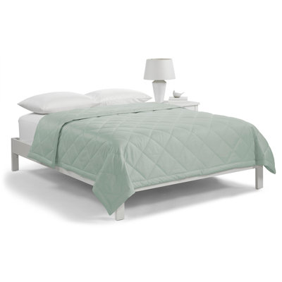 Down Alternative Blanket for Bed, 100% Cotton Cover, Scotchgard Stain Release