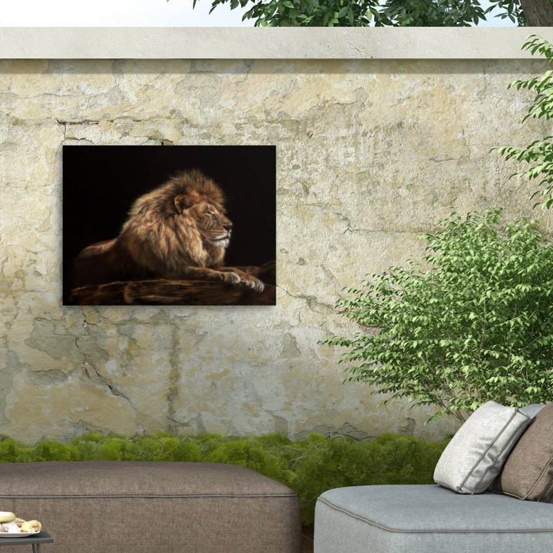 Toile d'extérieur David Stribble GOLDEN LION, H 18 po x l 24 po