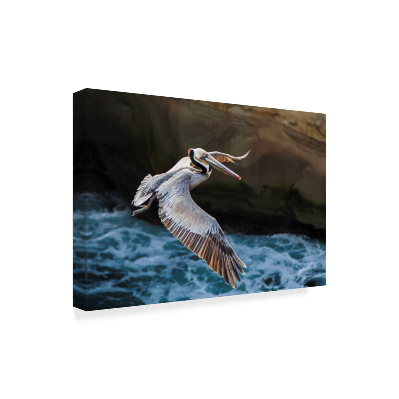 « pelican flight », reproduction de photo sur toile tendue, H 22 po x l 32 po x P 2 po