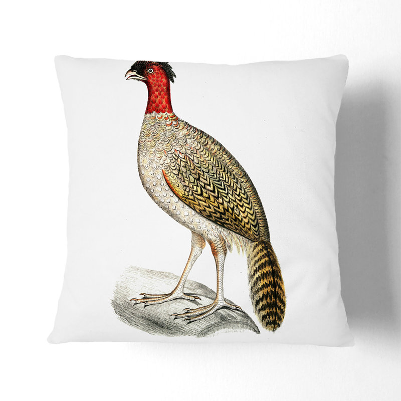 Square Throw Cushion, 55cm H x 55cm W x 20cm D, Stone