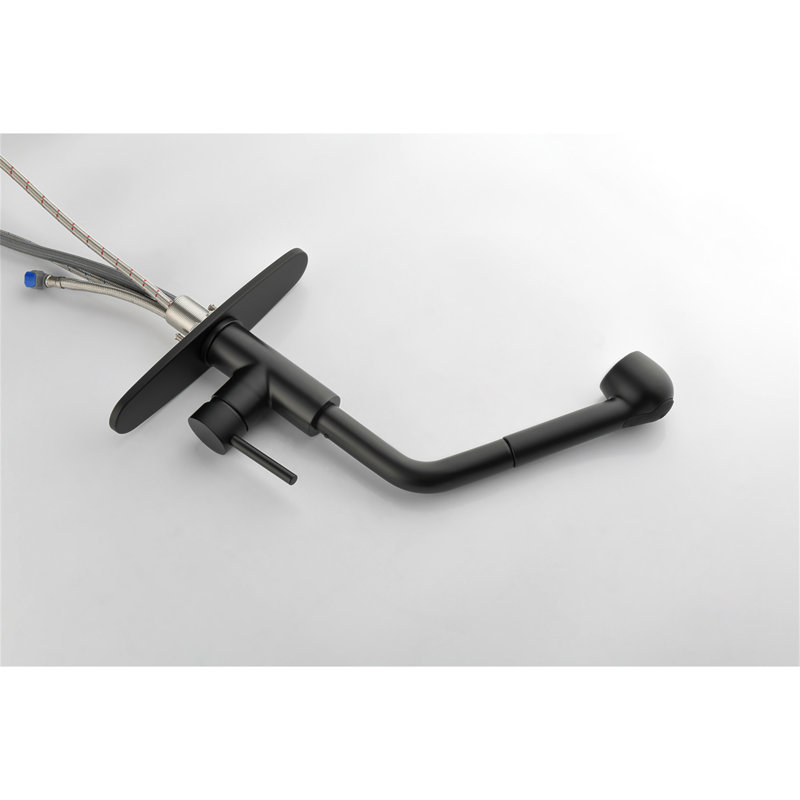 Robinet d'évier de cuisine à poignée simple avec douchette extractible, Noir mat