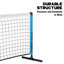 Toyrific Pickleball