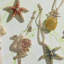 Starfish 2.5'' Animals Hanging Figurine Ornament-1341235978