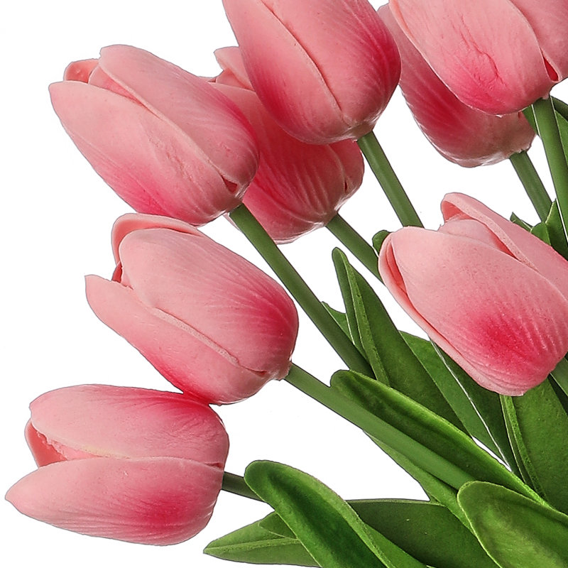 Ensemble de tulipes 13 po Eva, Rose