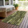 Machine Washable Indoor/Outdoor Christain ACN1305 Olive Rug