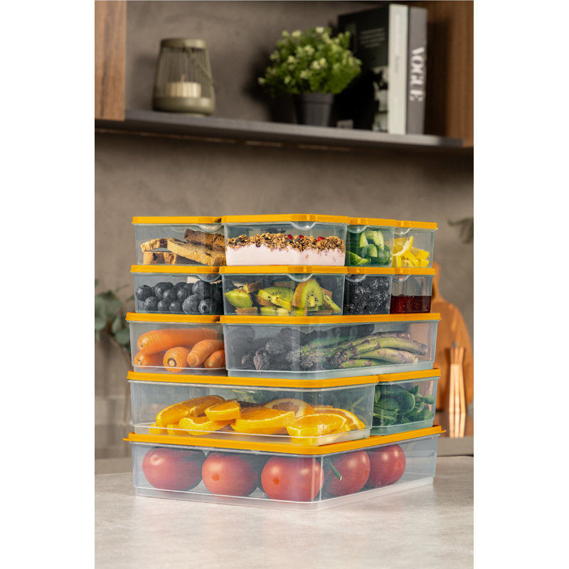 Ensemble de 15 boîtes de rangement polyvalentes, orange | 100% plastique, comprend 2 boîtes (4,3 x 11,8 x 2,8 po, 56,6 oz liq.), 1 boîte (9,1 x 11,4 x 2,6 po, 118,3 oz liq.), 12 boîtes (3,5 x 4,1 x 2,2 po, 11,8 oz liq) | Va au lave-vaisselle, idéal pour organiser la maison et le bureau