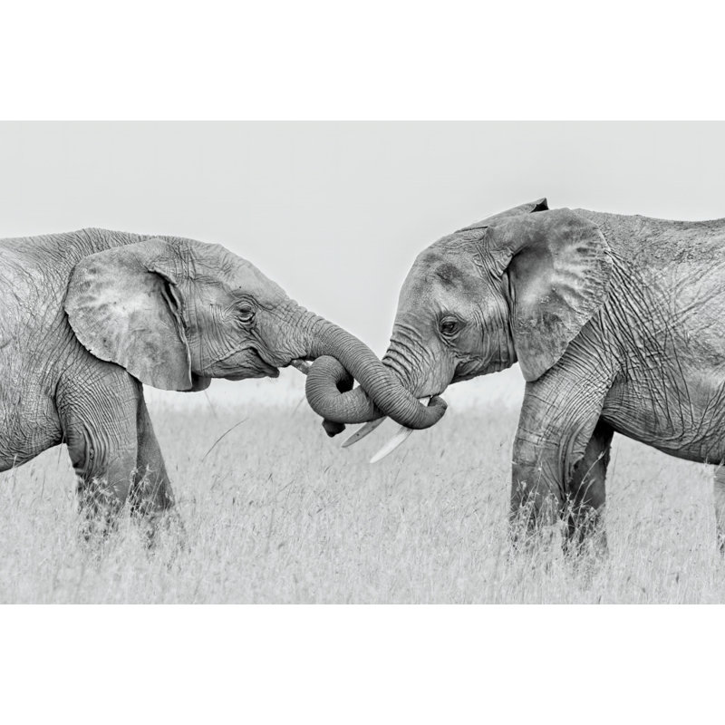 Wrapped Canvas Print, 50.8 cm H x 76.2 cm W
