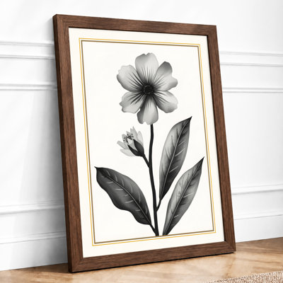Study Botanical - Framed Print
