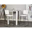 Cettina Upholstered Counter Stool with Metal Frame-1726460581