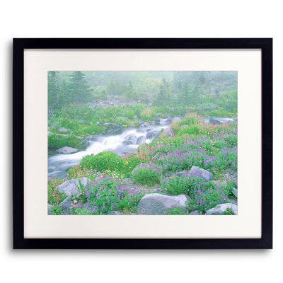 Alpine Meadow And Creek Print by Bruce Heinemann
