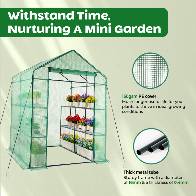 Green Walk-In Greenhouse with PE Cover and Steel Frame