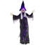 Steel, Polyester Halloween Decoration