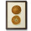 Orange - peinture sur toile encadrée-223393896