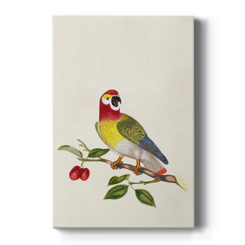 Oiseau dans Habitat VI - galerie Cavas sur mesure, H 60 po x l 40 po