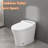 Smart Toilet