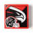 Atlanta Falcons