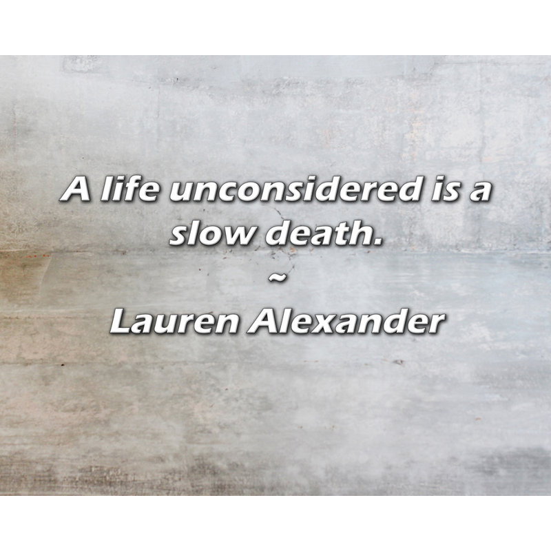 Citation artistique «Une vie non considérée est une mort lente». Toile tendue par Lauren Alexander, H 33 po x l 48 po