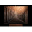 Avenue of Dreams Hand Painted Acrylic Painting