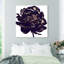 Pivoine noire - Impression sur toile-80844206-80844221