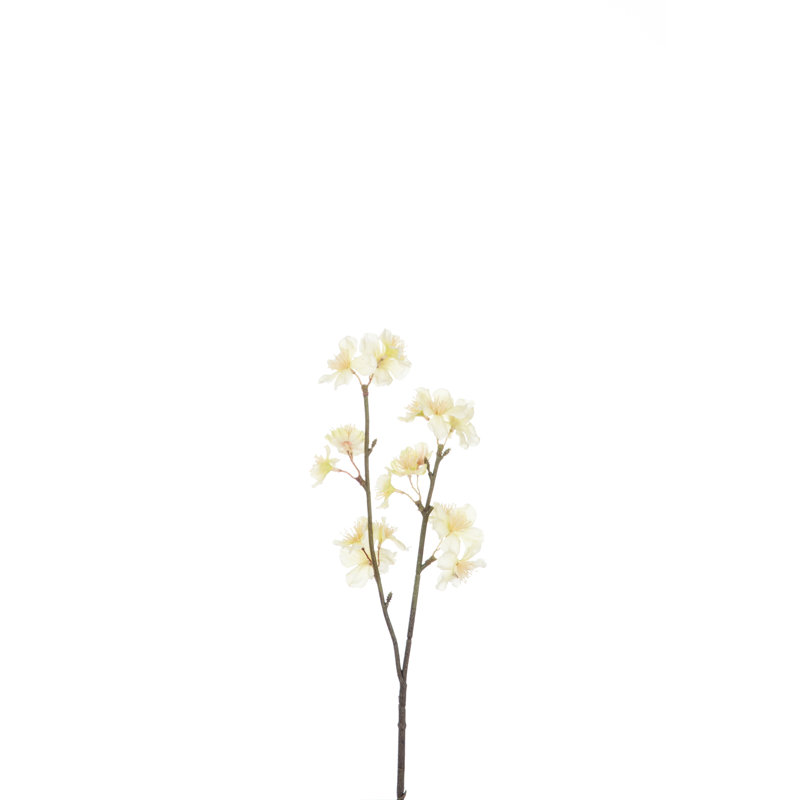 Cherry Blossom Arrangement, Yellow