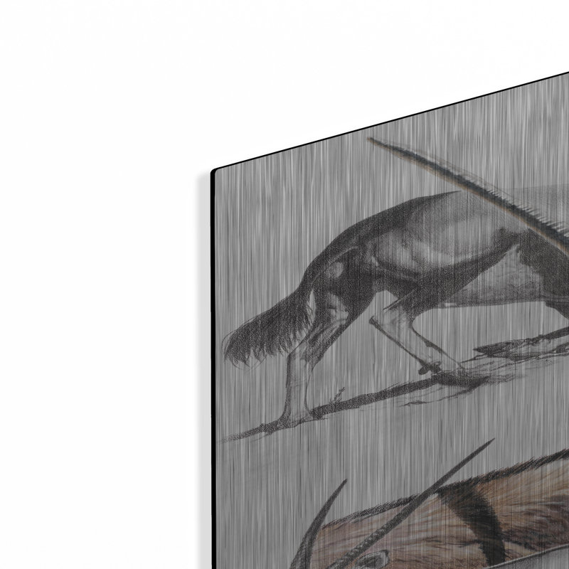 "Gemsbok" par Barbara Keith, H 36 po x l 24 po