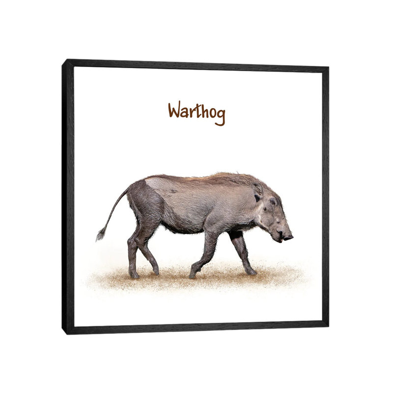 Muddy Baby Warthog Walking by Susan Schmitz - Print on Canvas, Black Framed, 66.04 cm H x 66.04 cm W