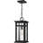 Moira 1-Light Earth Black Outdoor Hanging Lantern